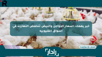 خبر يهمك: أسعار الدواجن والبيض تنخفض النهارده في أسواق القليوبية